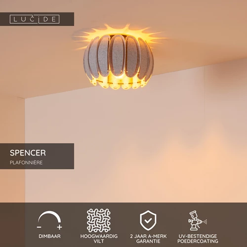 Lucide SPENCER - Plafonnière - Ø 30 cm - 1xE27 - Grijs - USP